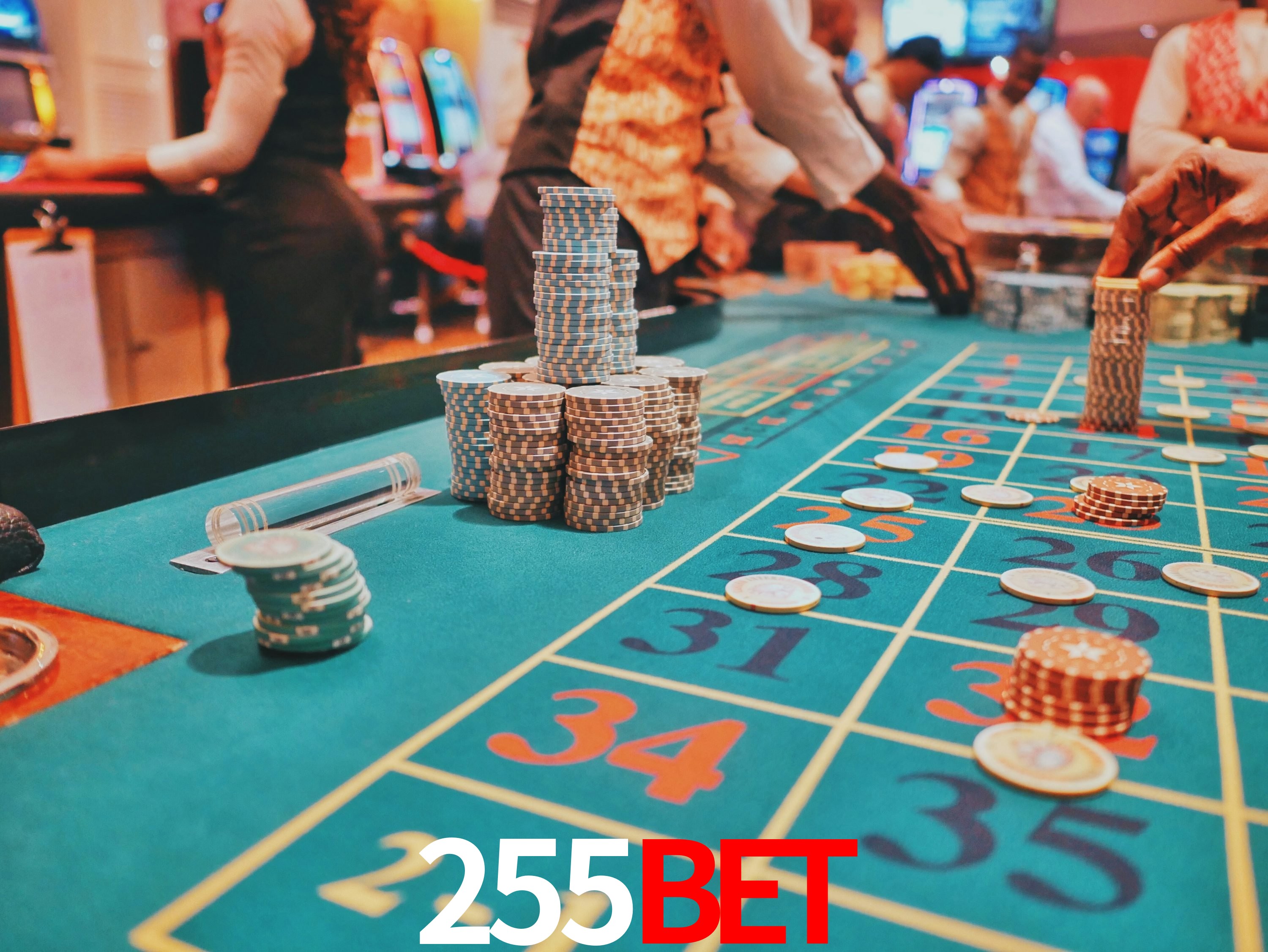 Sports Statistics 255bet
